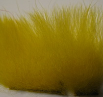 polar bear lemon standart